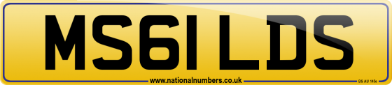 MS61 LDS