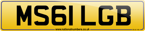 MS61 LGB