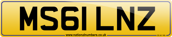 MS61 LNZ