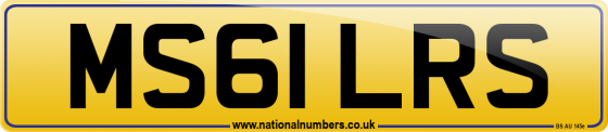 MS61 LRS