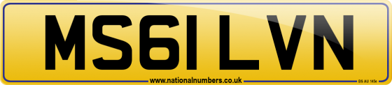 MS61 LVN
