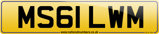 MS61 LWM