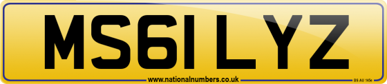 MS61 LYZ