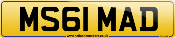 MS61 MAD