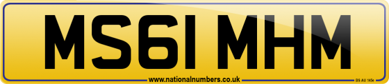 MS61 MHM