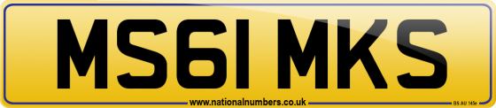 MS61 MKS