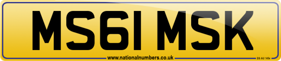 MS61 MSK