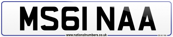 MS61 NAA