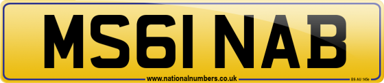 MS61 NAB