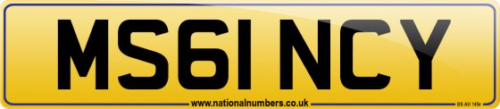 MS61 NCY