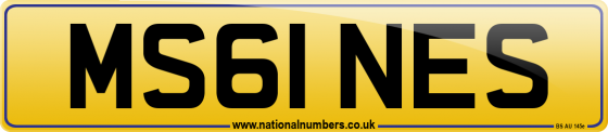 MS61 NES