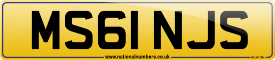 MS61 NJS
