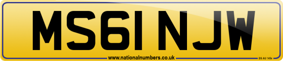MS61 NJW