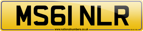 MS61 NLR