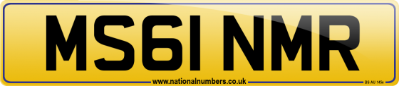 MS61 NMR