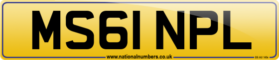 MS61 NPL