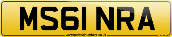 MS61 NRA