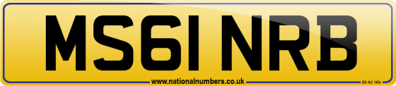 MS61 NRB