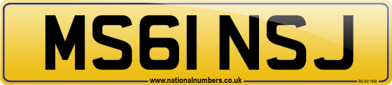 MS61 NSJ