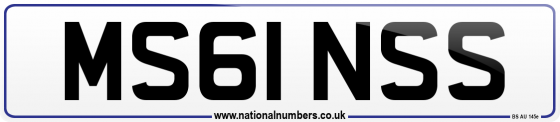 MS61 NSS