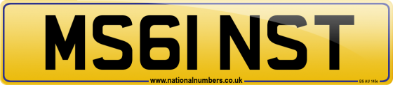 MS61 NST