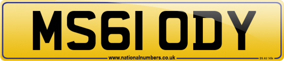 MS61 ODY