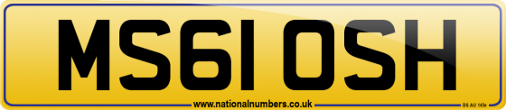 MS61 OSH