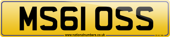 MS61 OSS