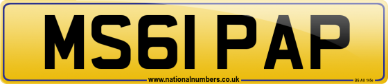 MS61 PAP