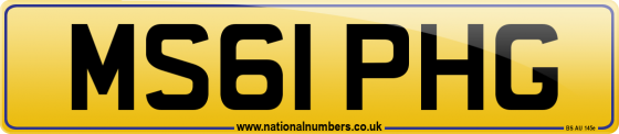 MS61 PHG