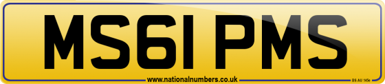 MS61 PMS