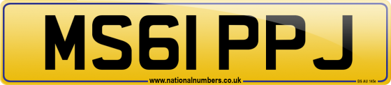 MS61 PPJ