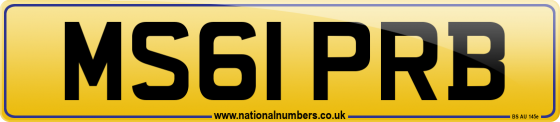 MS61 PRB