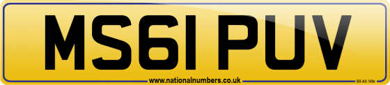 MS61 PUV