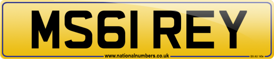 MS61 REY