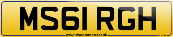MS61 RGH
