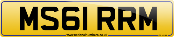 MS61 RRM