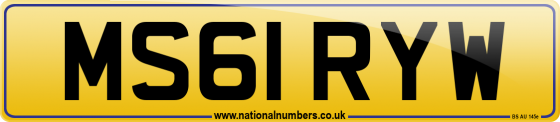 MS61 RYW