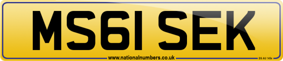 MS61 SEK