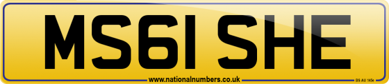 MS61 SHE