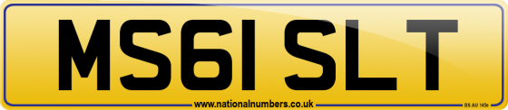 MS61 SLT
