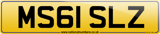 MS61 SLZ