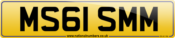 MS61 SMM