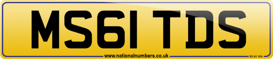 MS61 TDS