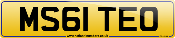 MS61 TEO