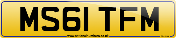 MS61 TFM