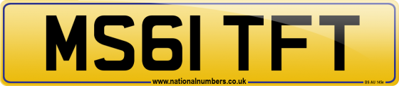 MS61 TFT