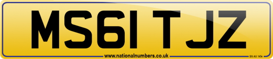 MS61 TJZ