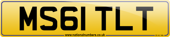 MS61 TLT