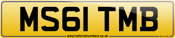 MS61 TMB